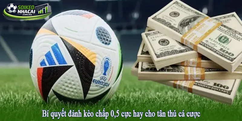 Bí quyết đánh kèo chấp 0,5 cực hay cho tân thủ cá cược