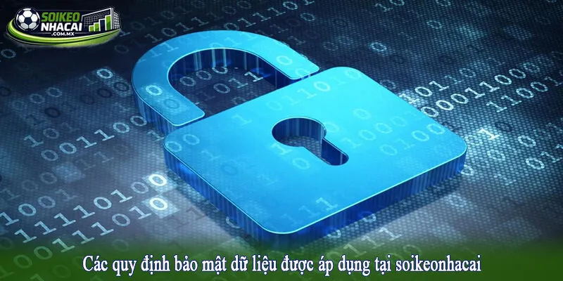 Các quy định bảo mật dữ liệu được áp dụng tại soikeonhacai