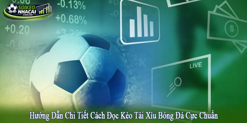 kèo tài xỉu bóng đá