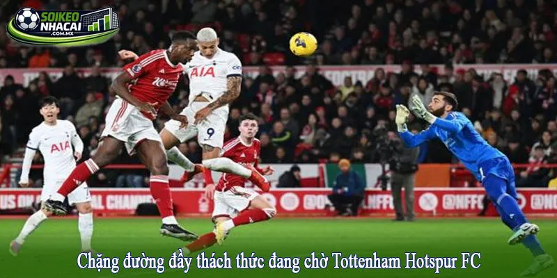 Chặng đường đầy thách thức đang chờ Tottenham Hotspur FC