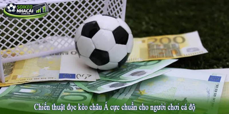 Chiến thuật đọc kèo châu Á cực chuẩn cho người chơi cá độ