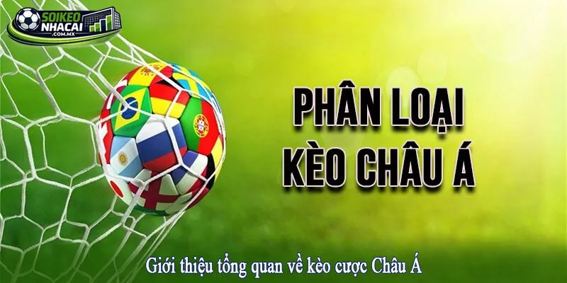 Giới thiệu tổng quan về kèo cược Châu Á