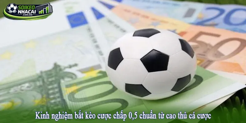 Kinh nghiệm bắt kèo cược chấp 0,5 chuẩn từ cao thủ cá cược