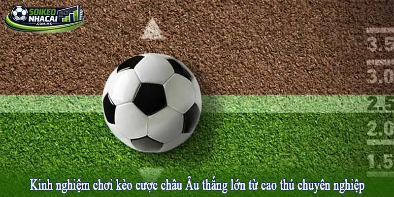 Kinh nghiệm chơi kèo cược châu Âu thắng lớn từ cao thủ chuyên nghiệp