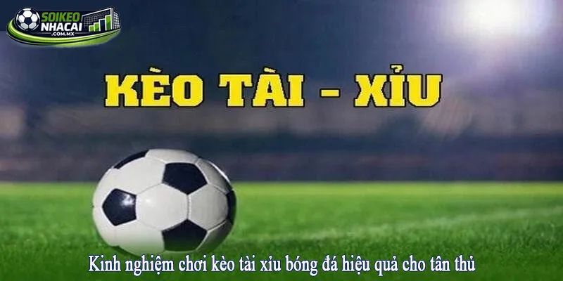 Kinh nghiệm chơi kèo tài xỉu bóng đá hiệu quả cho tân thủ