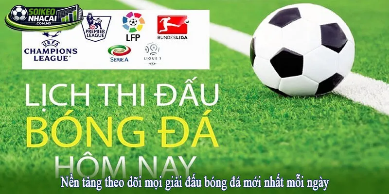 Nền tảng theo dõi mọi giải đấu bóng đá mới nhất mỗi ngày