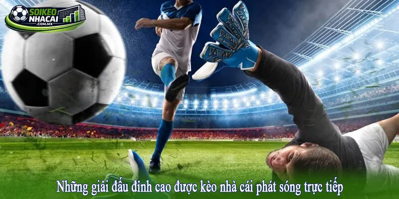Những giải đấu đỉnh cao được kèo nhà cái phát sóng trực tiếp