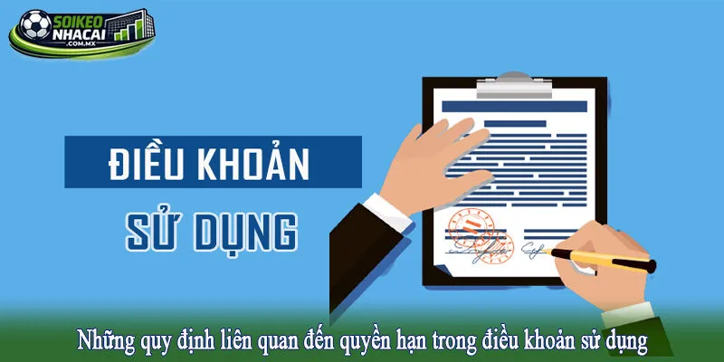 Những quy định liên quan đến quyền hạn trong điều khoản sử dụng