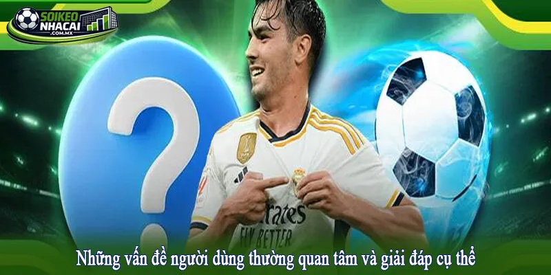Những vấn đề người dùng thường quan tâm và giải đáp cụ thể
