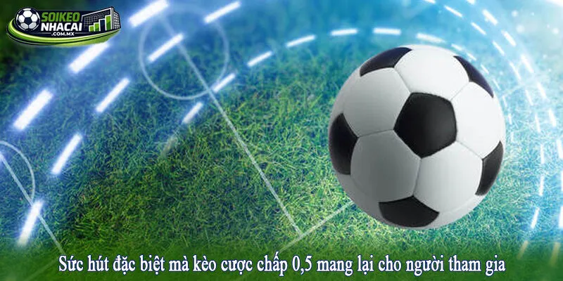 Sức hút đặc biệt mà kèo cược chấp 0,5 mang lại cho người tham gia