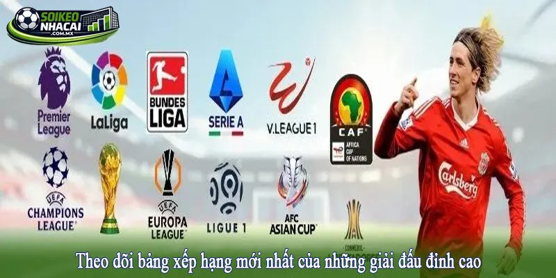 Theo dõi bảng xếp hạng mới nhất của những giải đấu đỉnh cao