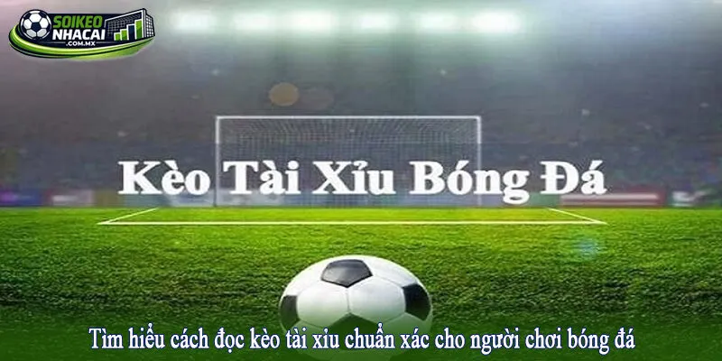 Tìm hiểu cách đọc kèo tài xỉu chuẩn xác cho người chơi bóng đá