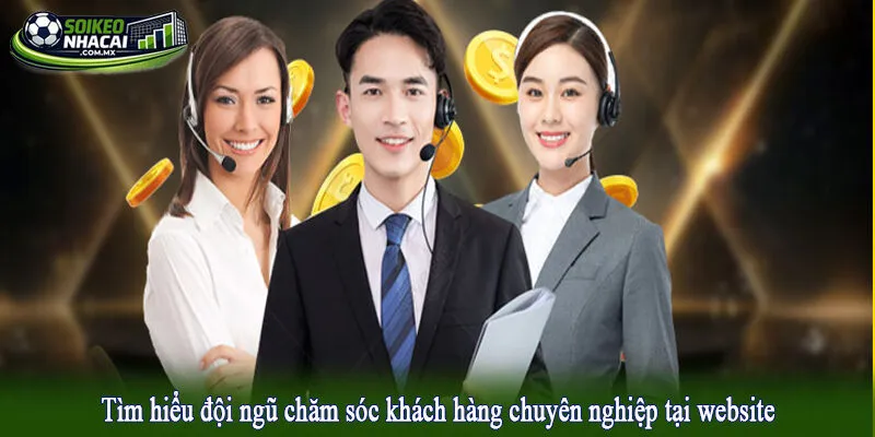 Tìm hiểu đội ngũ chăm sóc khách hàng chuyên nghiệp tại website