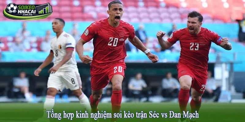 Tổng hợp kinh nghiệm soi kèo trận Séc vs Đan Mạch