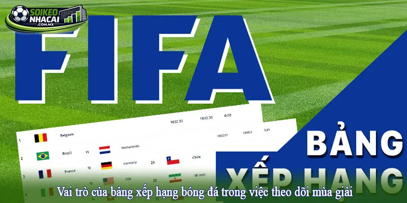 Vai trò của bảng xếp hạng bóng đá trong việc theo dõi mùa giải