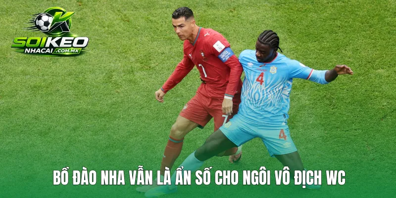 Bồ Đào Nha vẫn là ẩn số cho ngôi vô địch WC