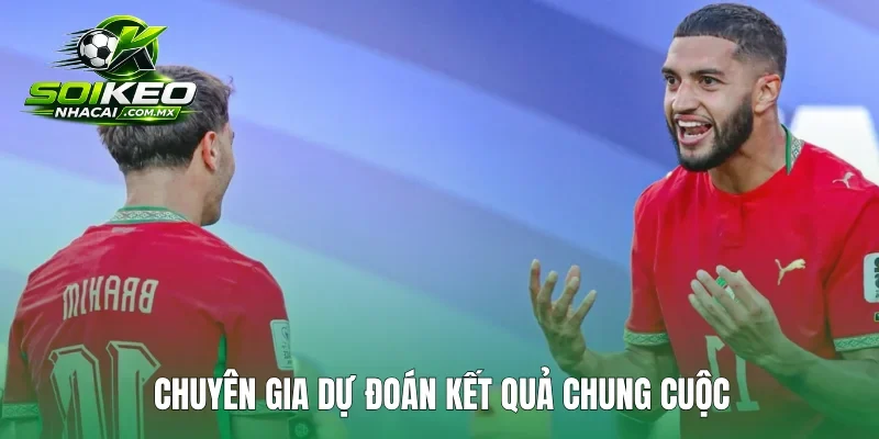 Chuyên gia dự đoán kết quả chung cuộc