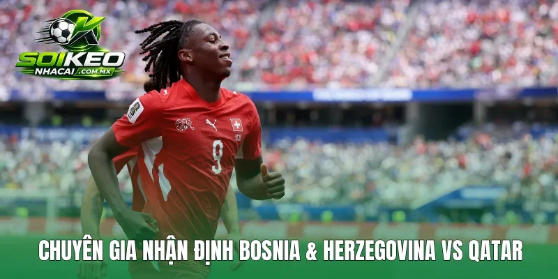 Chuyên gia nhận định Bosnia & Herzegovina vs Qatar