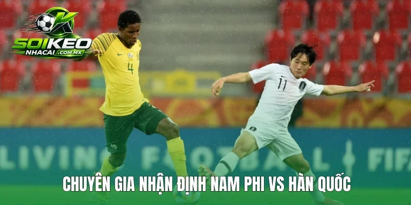 Chuyên gia nhận định Nam Phi vs Hàn Quốc