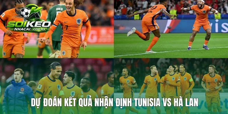 Dự đoán kết quả nhận định Tunisia vs Hà Lan