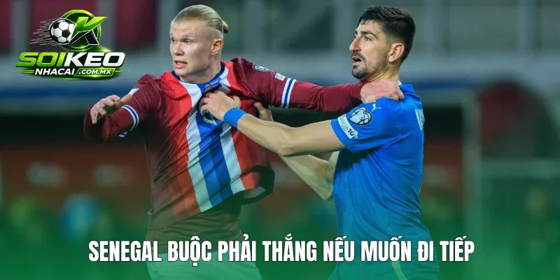 Senegal bắt buộc phải thắng nếu muốn đi tiếp