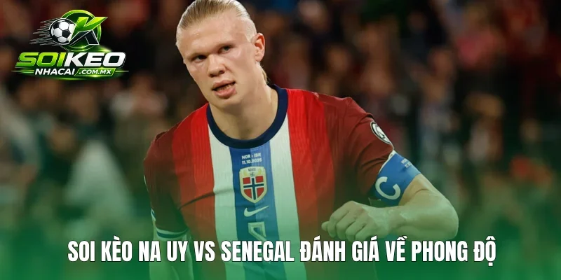 Soi kèo Na Uy vs Senegal đánh giá chung về phong độ